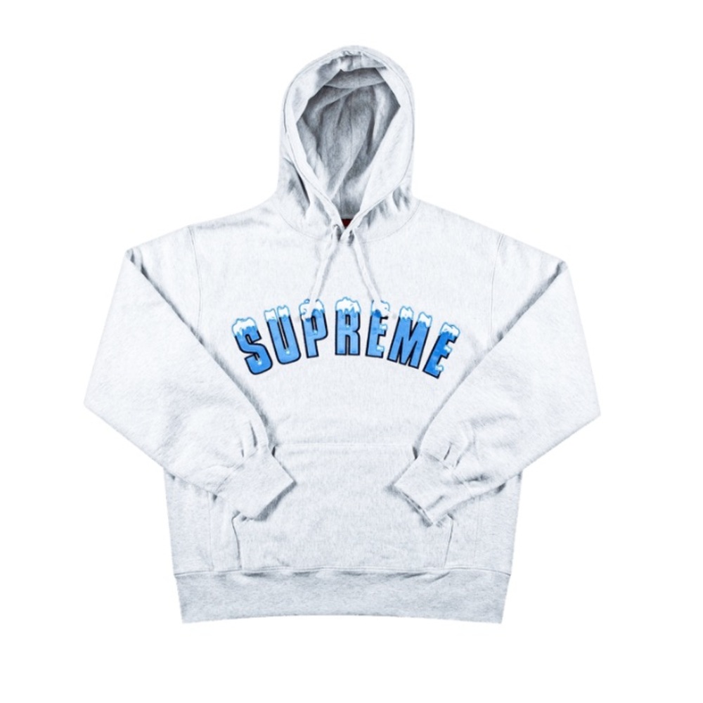 Supreme Icy Arc Hoodie